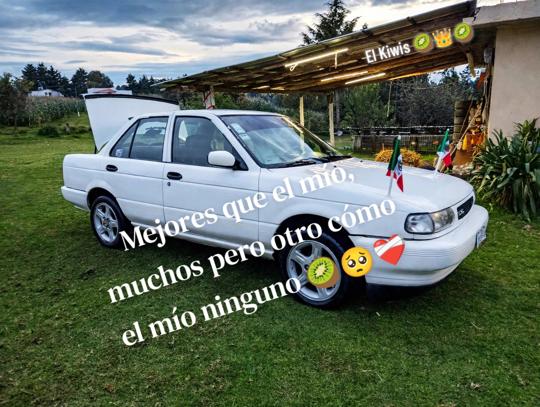 @El Kiwis 🥝👑🥝