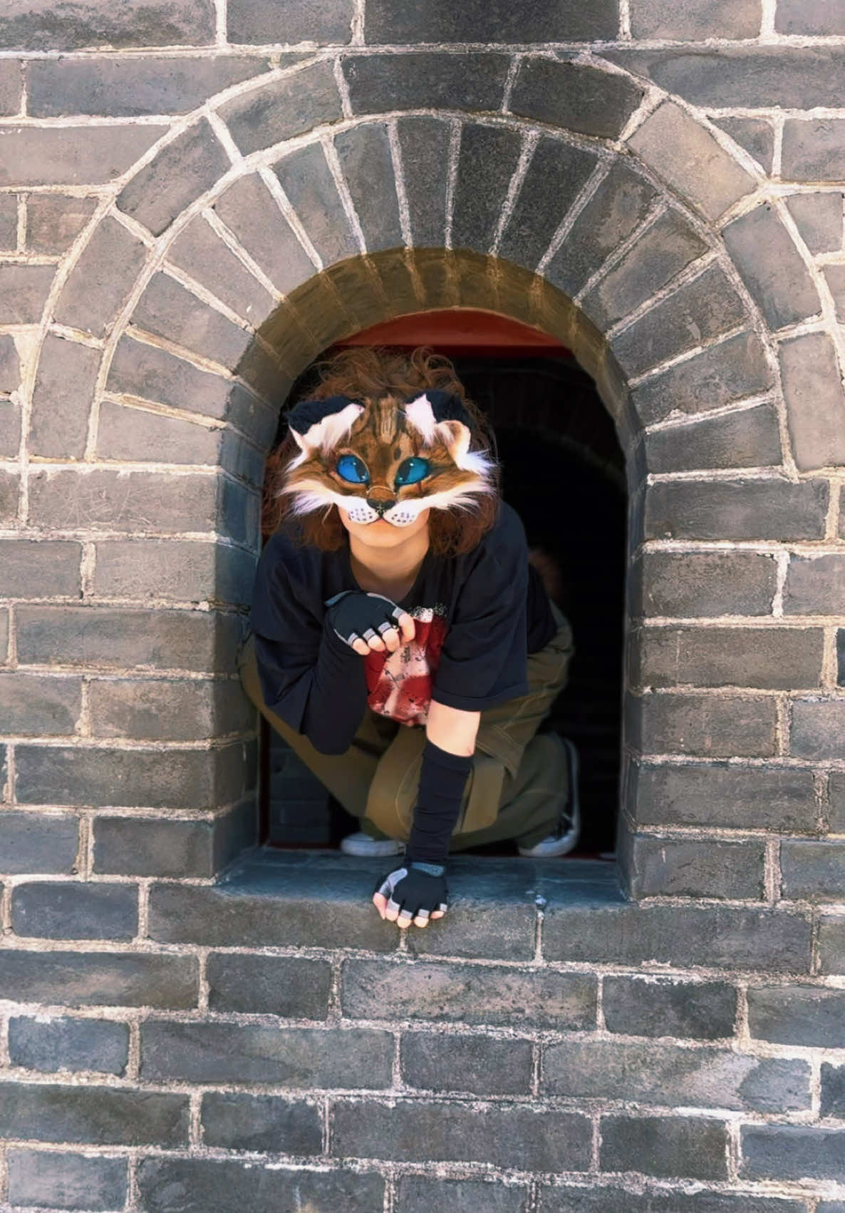 @chaplycon
