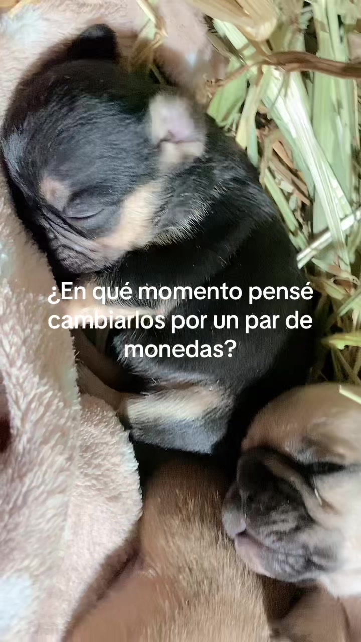 @daniela.pavon96