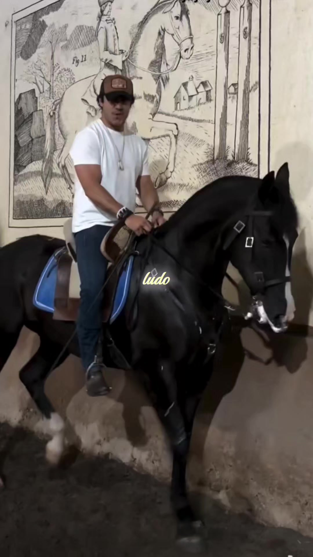 @ludo22701