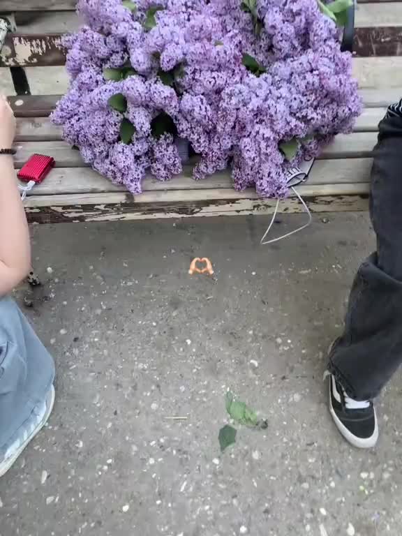 @🐈&zwj;⬛