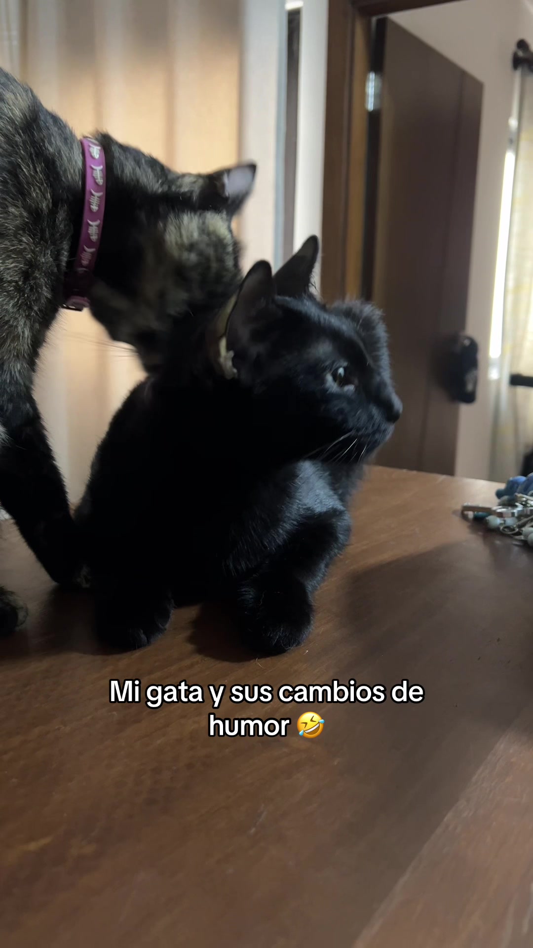 @Fabiana Terrazas Su&aacute;rez