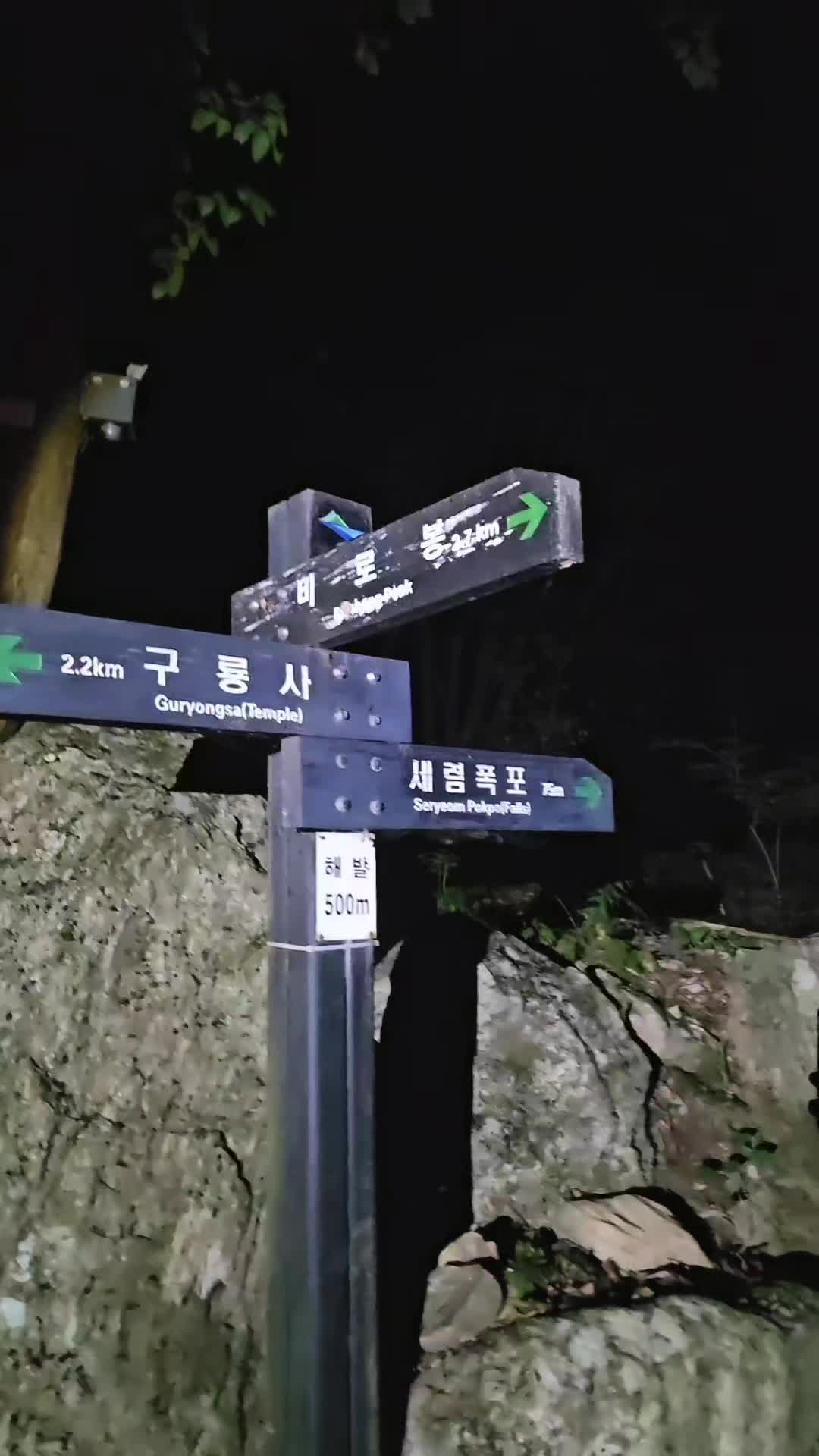 @쩡양