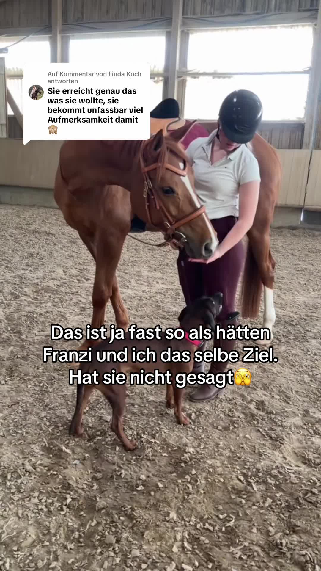 @Letynnxhorses