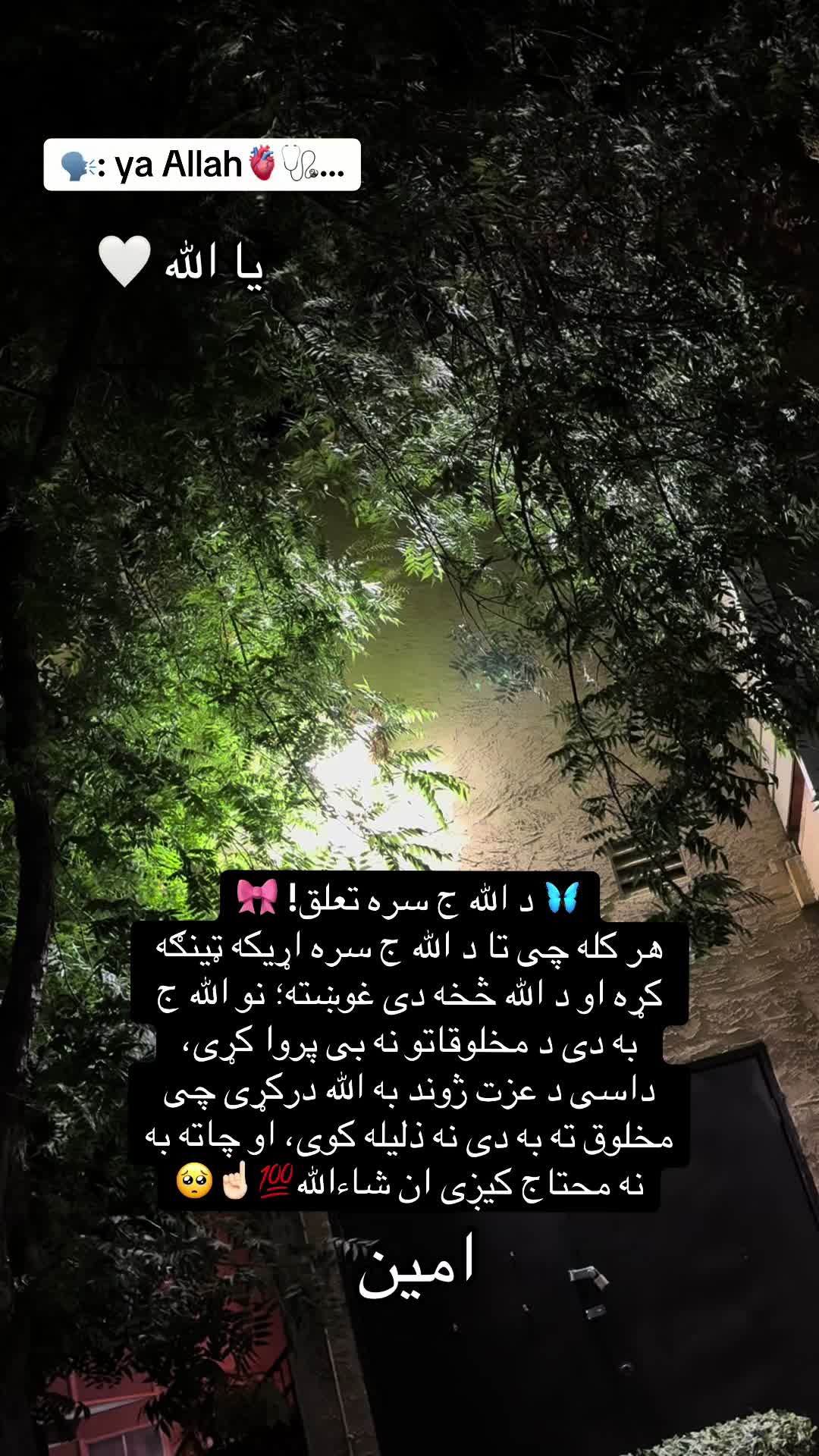 @👑🩺~Jannat~🤍🦋🇺🇸