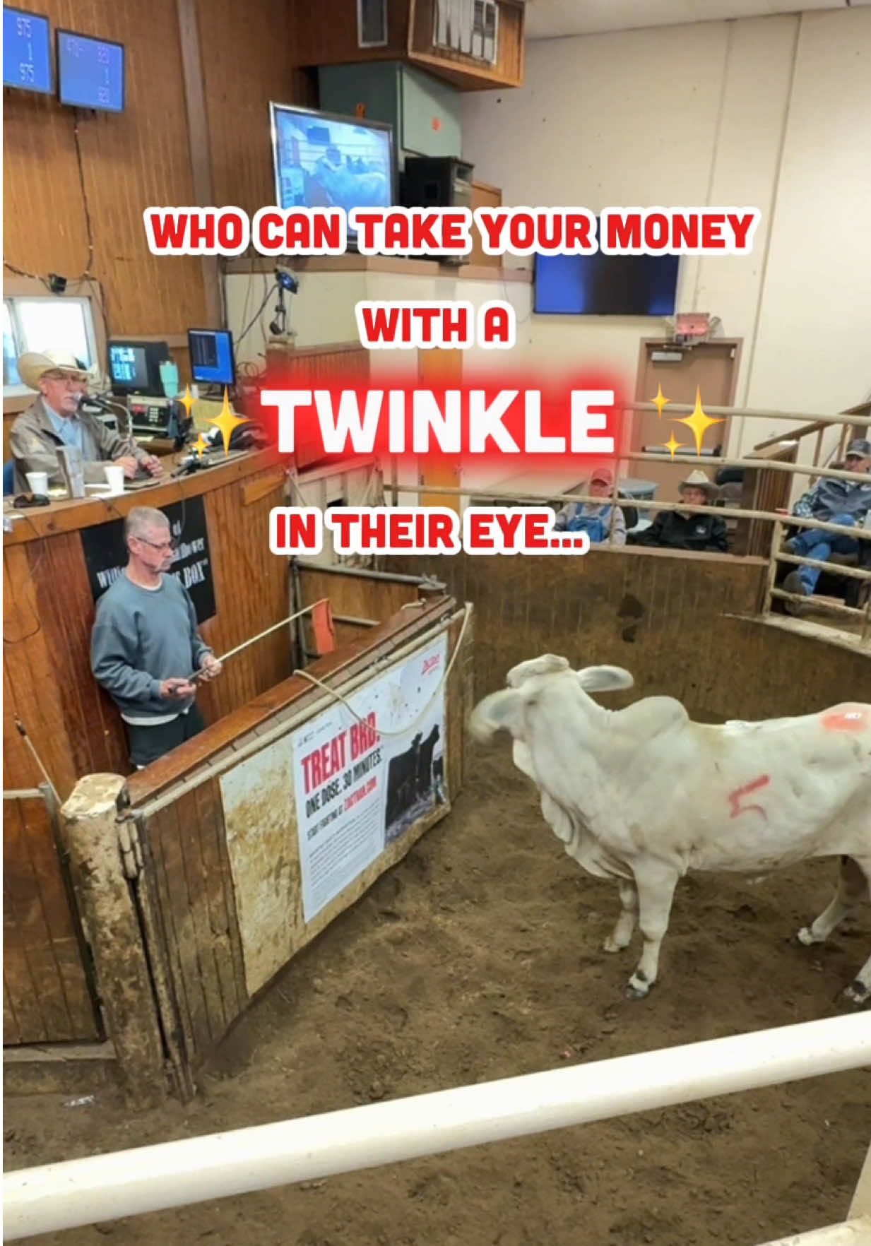 @Cattlemen’s Livestock Market