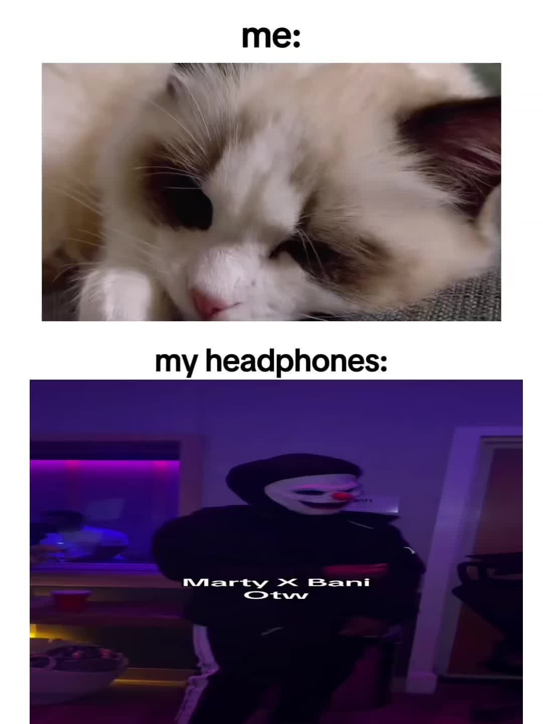 @baniupdates