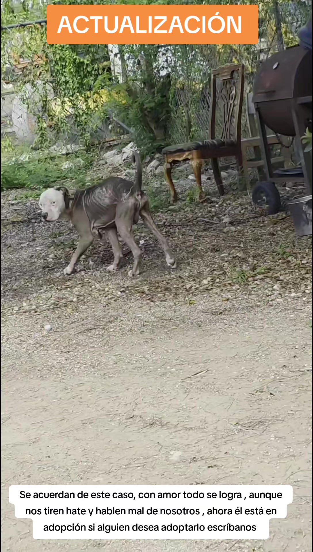@Asoc. Peluditos