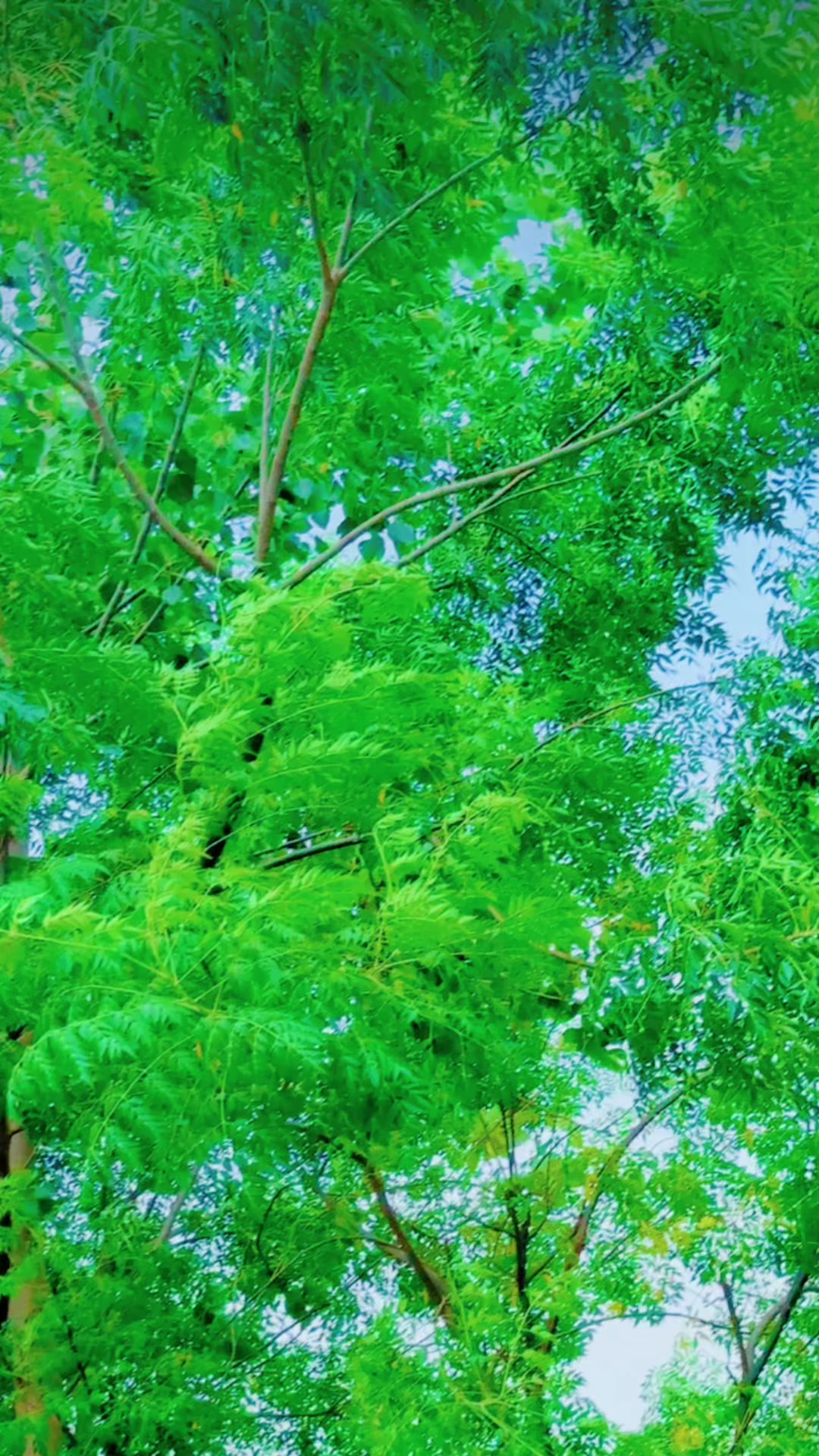 @Hammadjani222