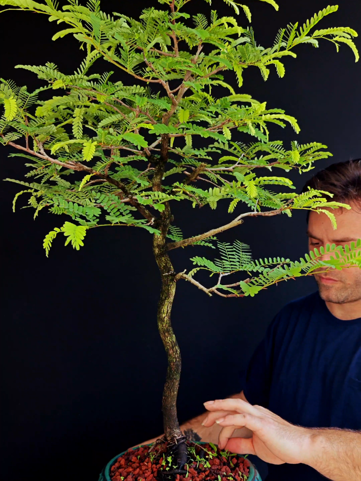 @Bryan Loves Bonsai
