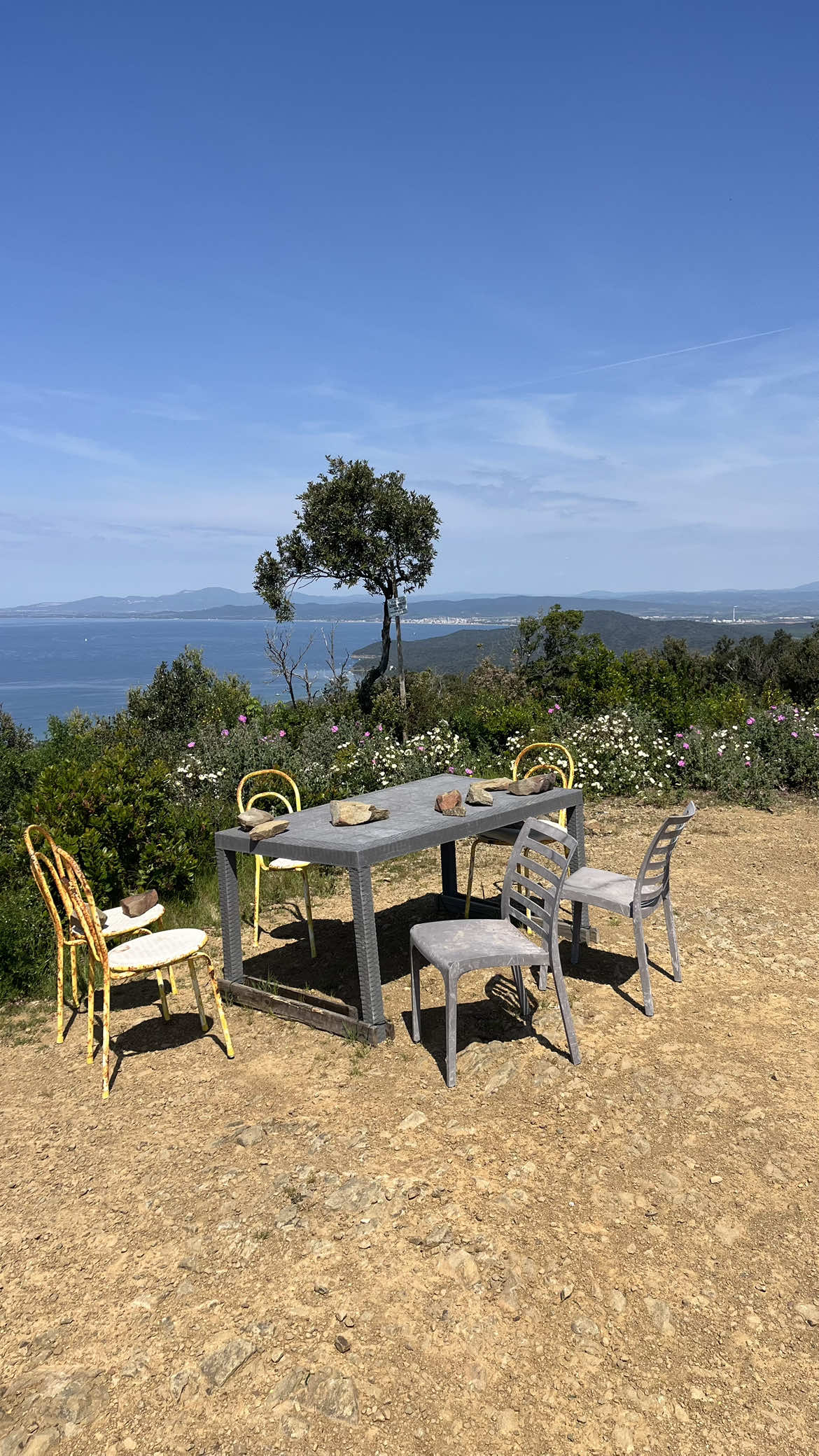@Maremma Green Passion