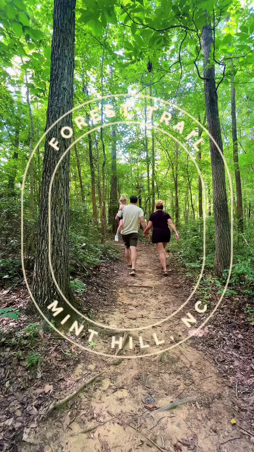 @foresttrailminthill