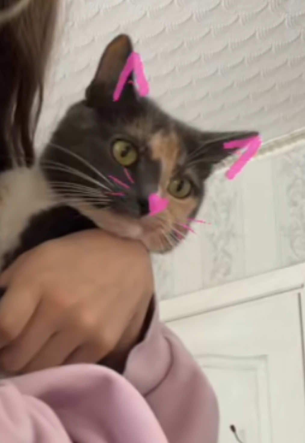 @Kata._.