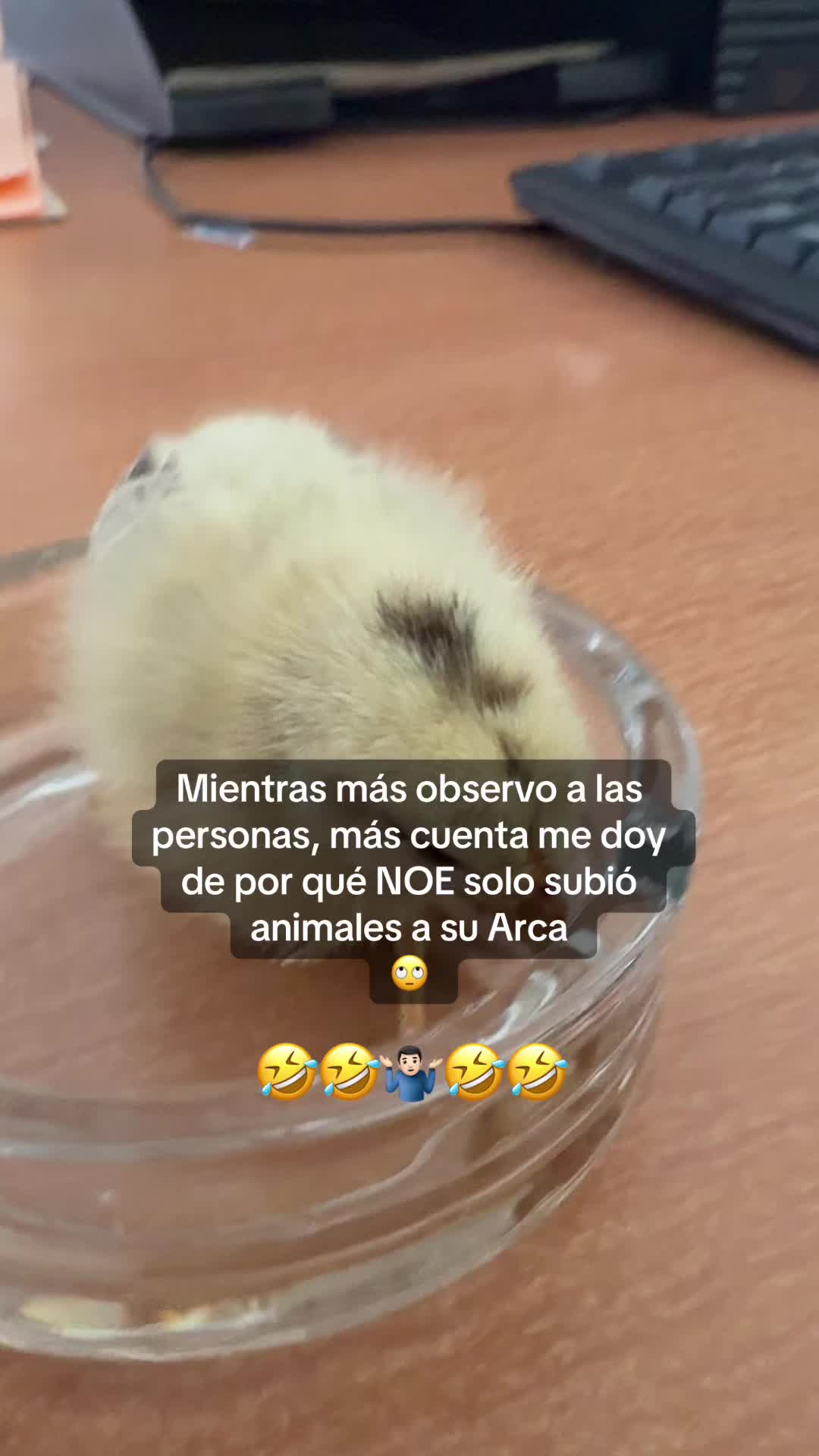 @💫Juan☄️