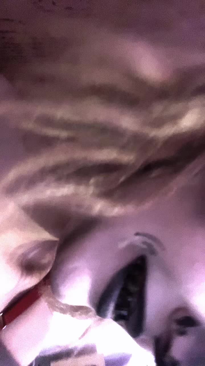 @callie.tokio.ver