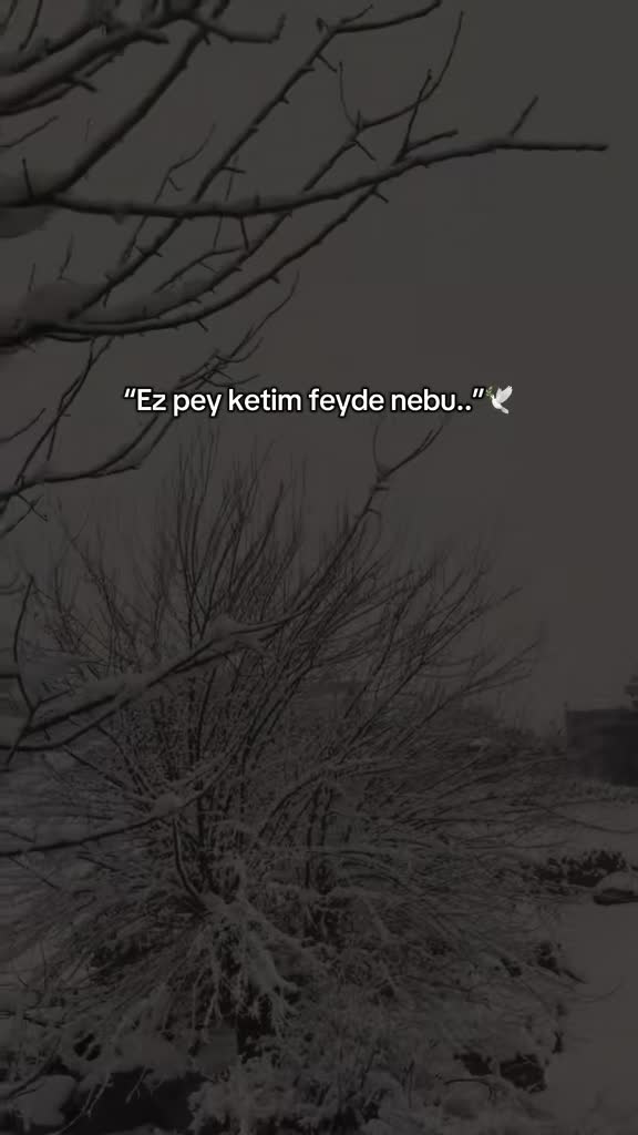 @𝓗𝓮𝓵𝓫𝓮𝓼𝓽_47