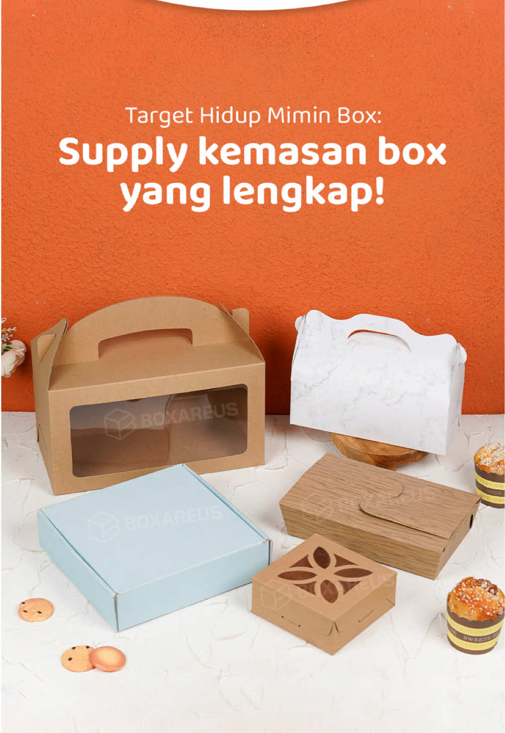 @BOXAREUS