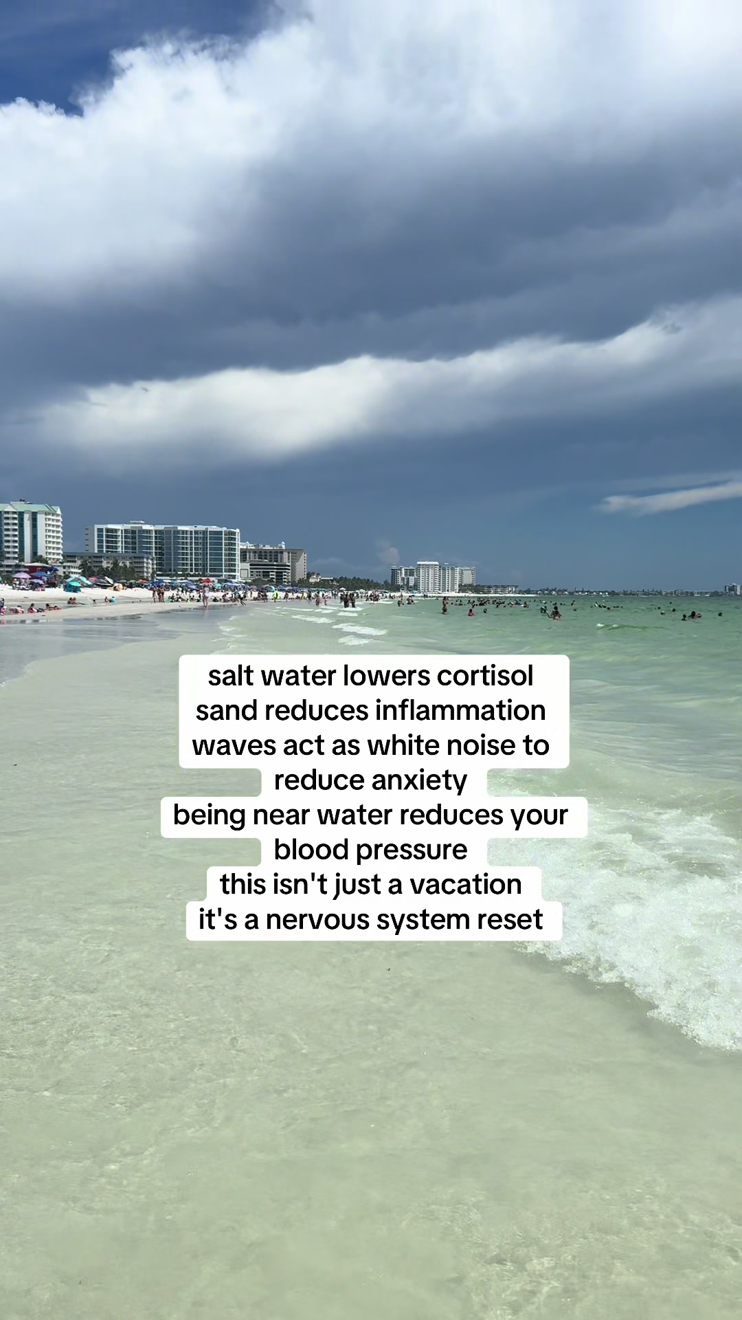 @lily || fl lifestyle & travel