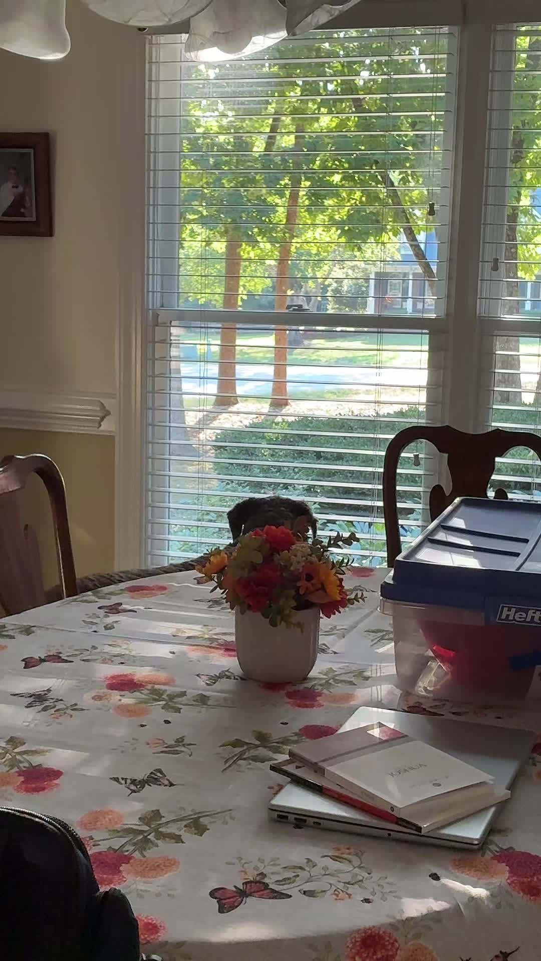 @Meg Hedgecock