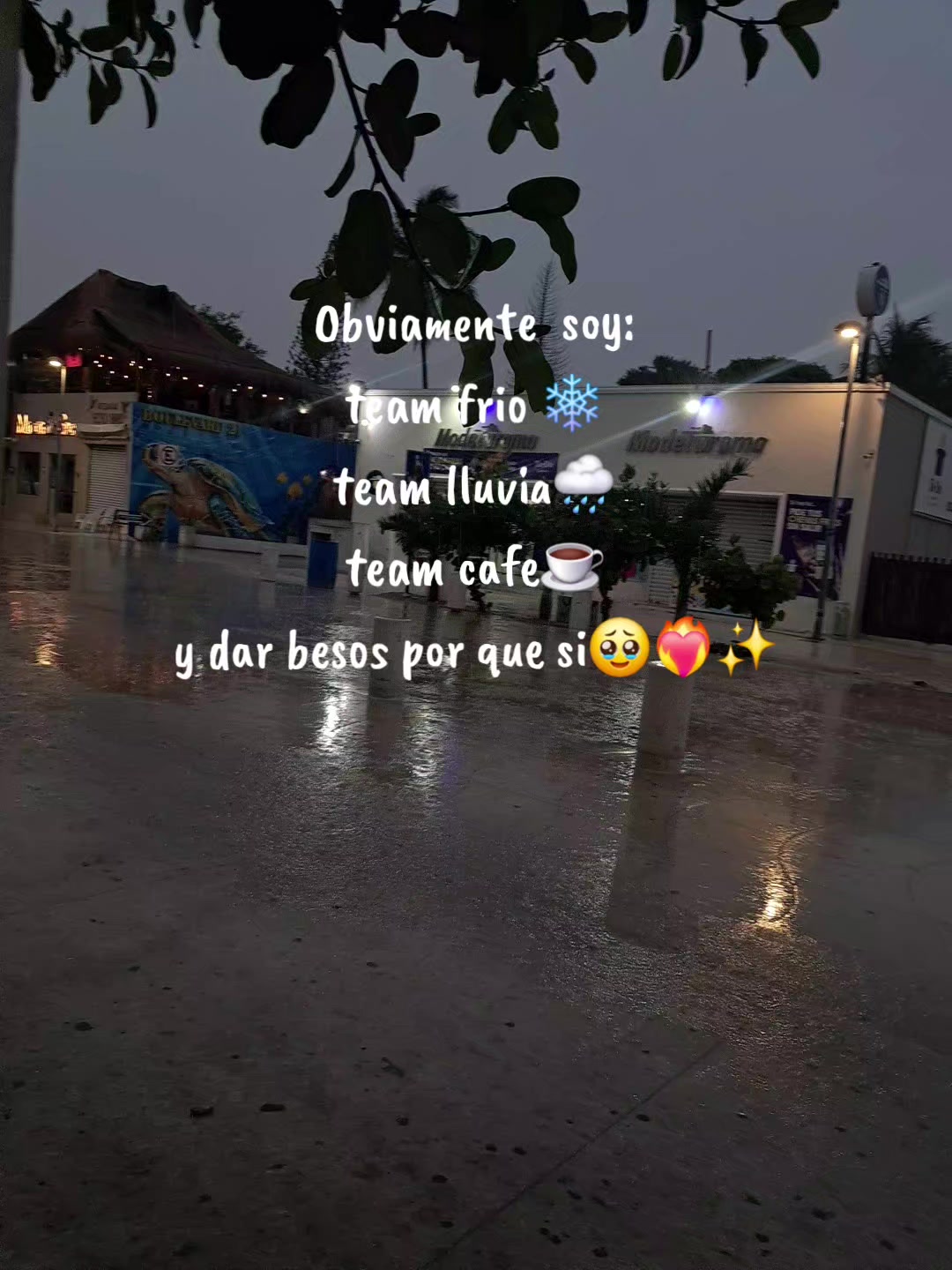 @issa_0499🦋🐚✨️