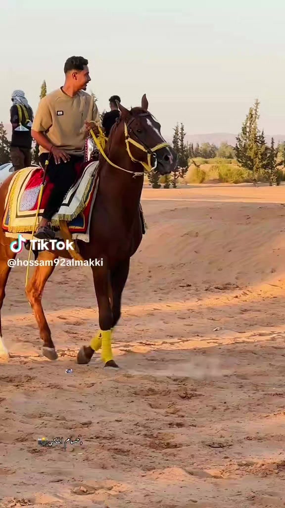 @محمد نافع❤️🔥🐴