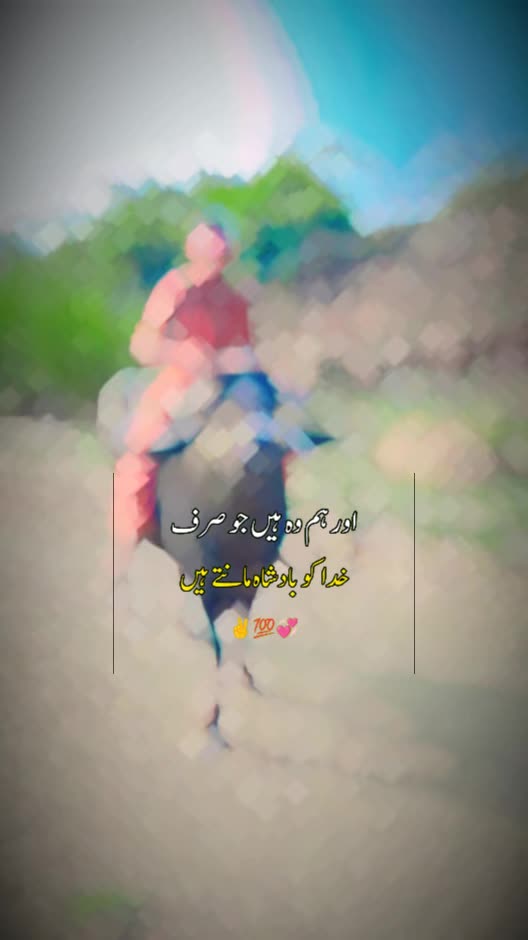 @navaib