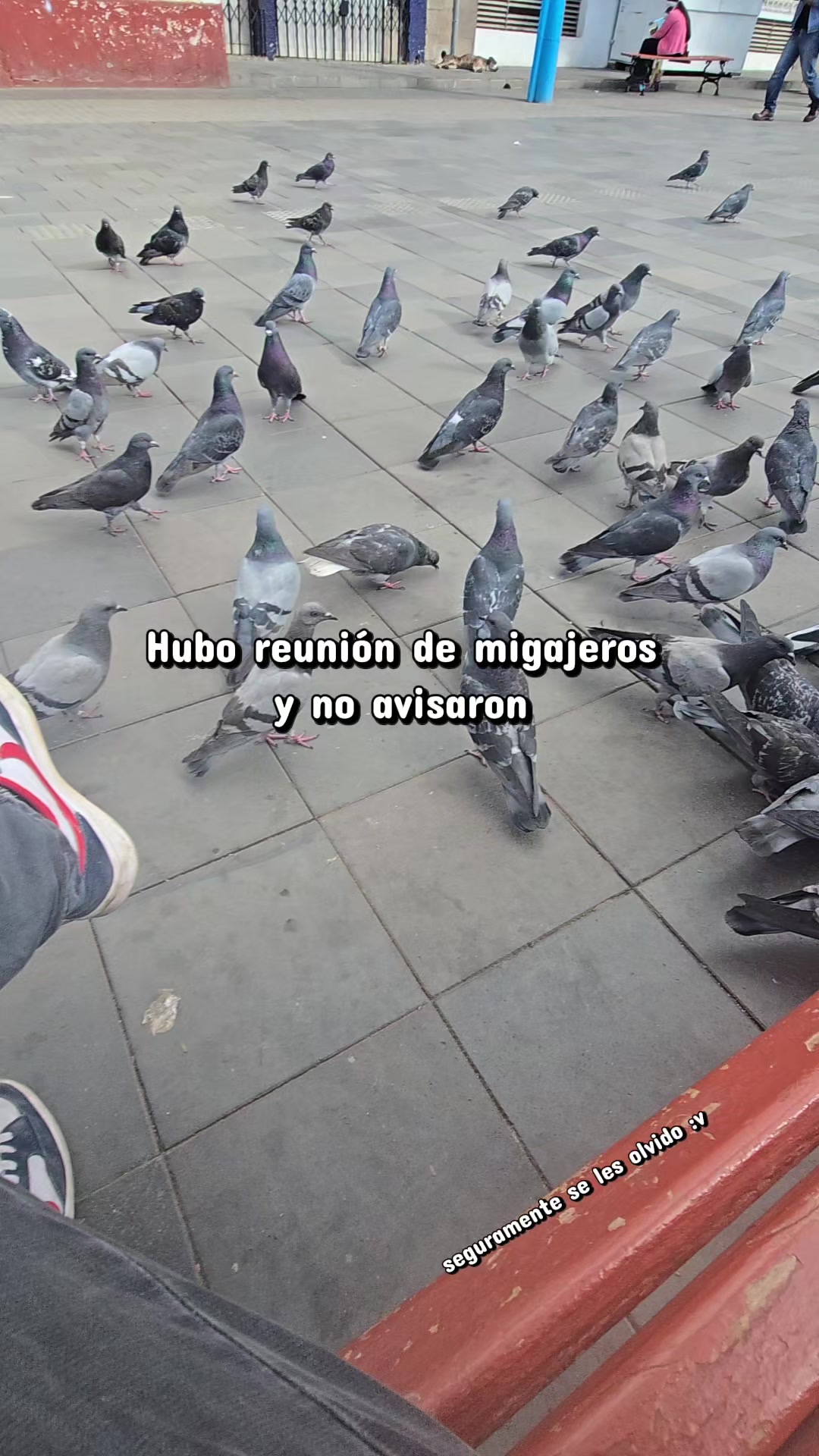 @david.J.C
