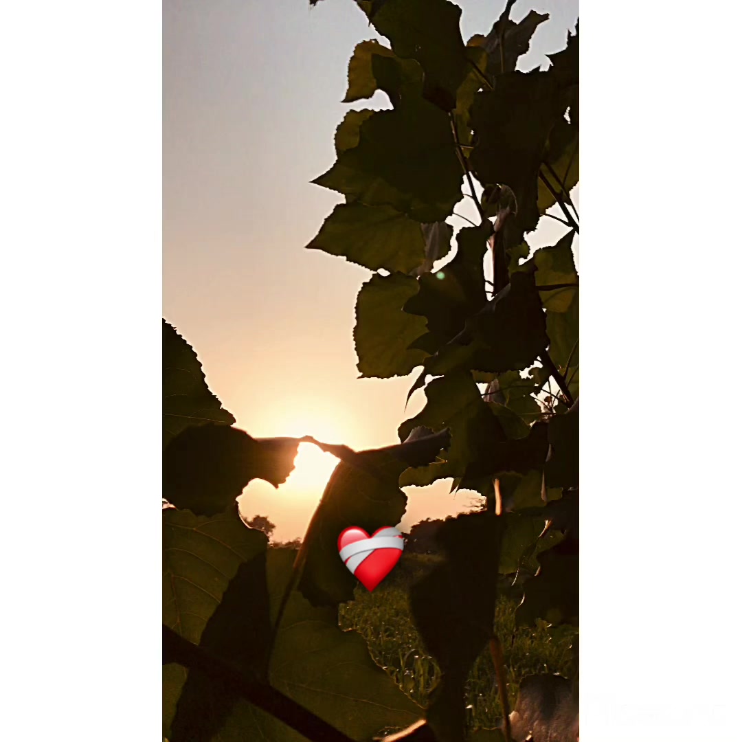 @پنجاب ❤️🩹
