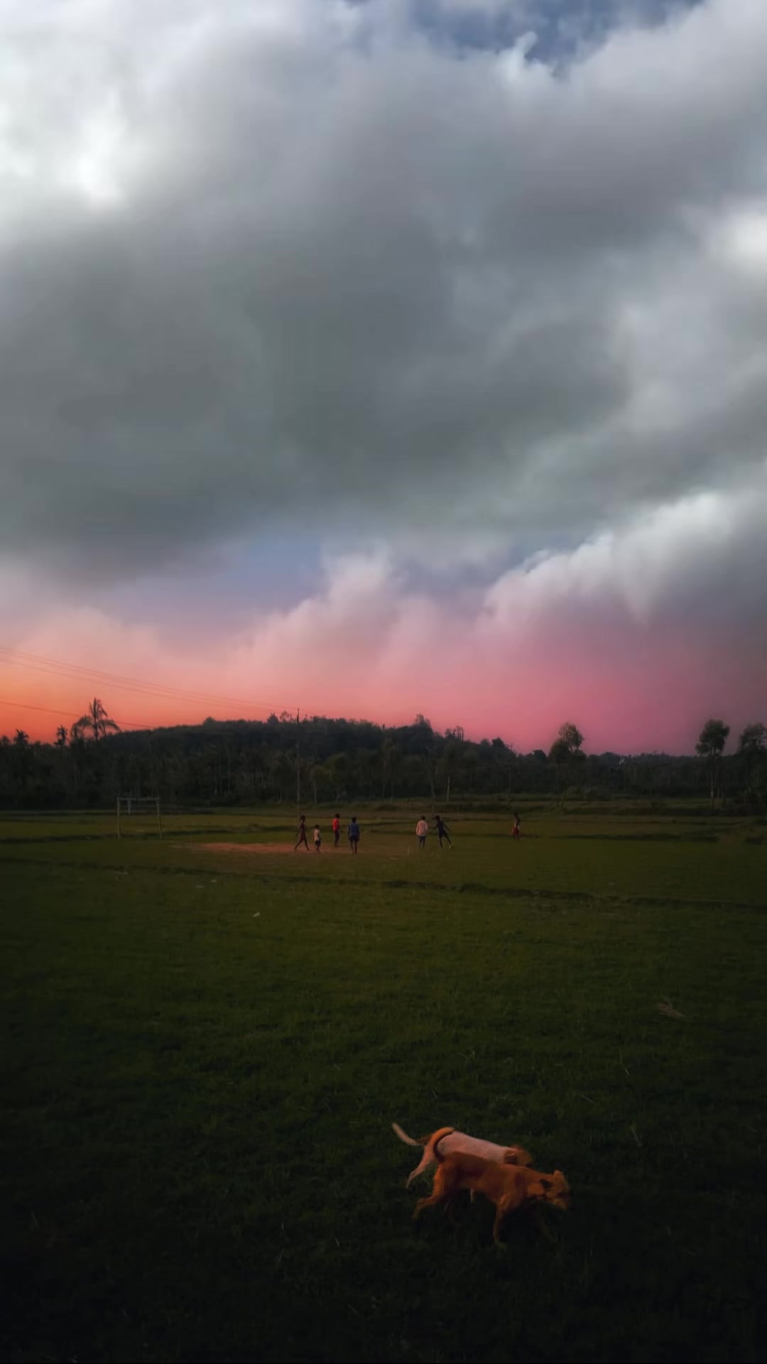 @Nandika Dananjaya