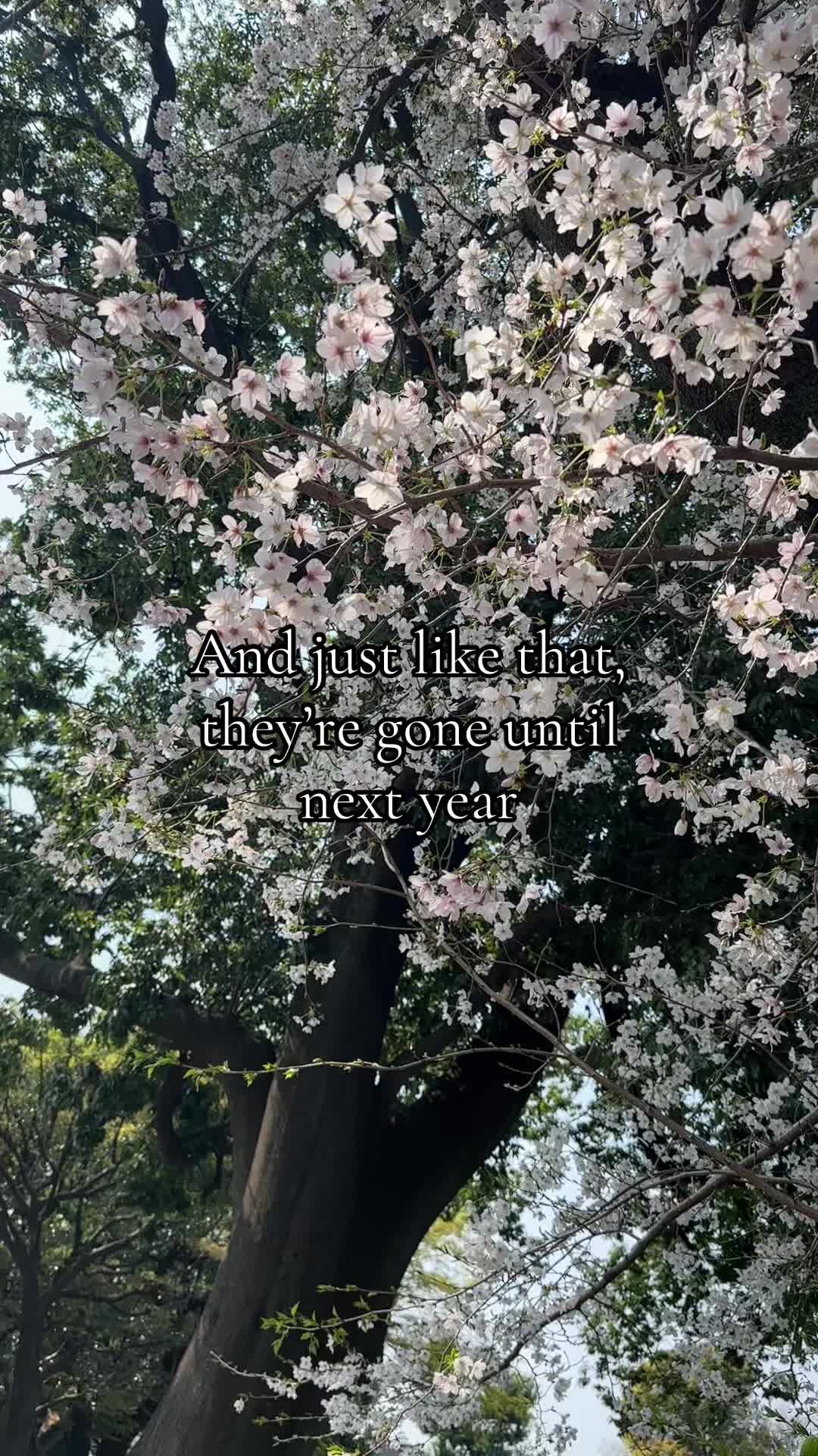 @Sarah