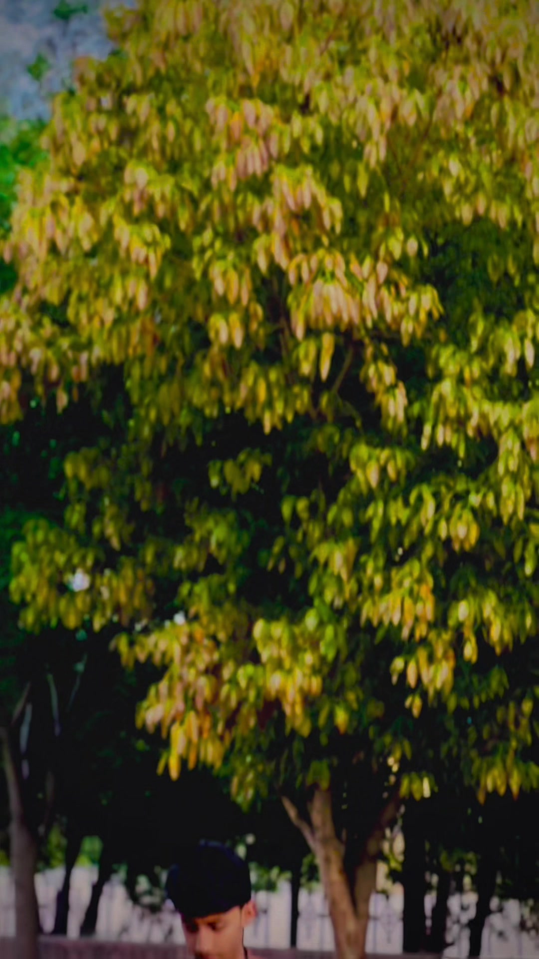 @𝘈𝘉𝘋𝘜𝘓𝘓𝘈𝘏🌼