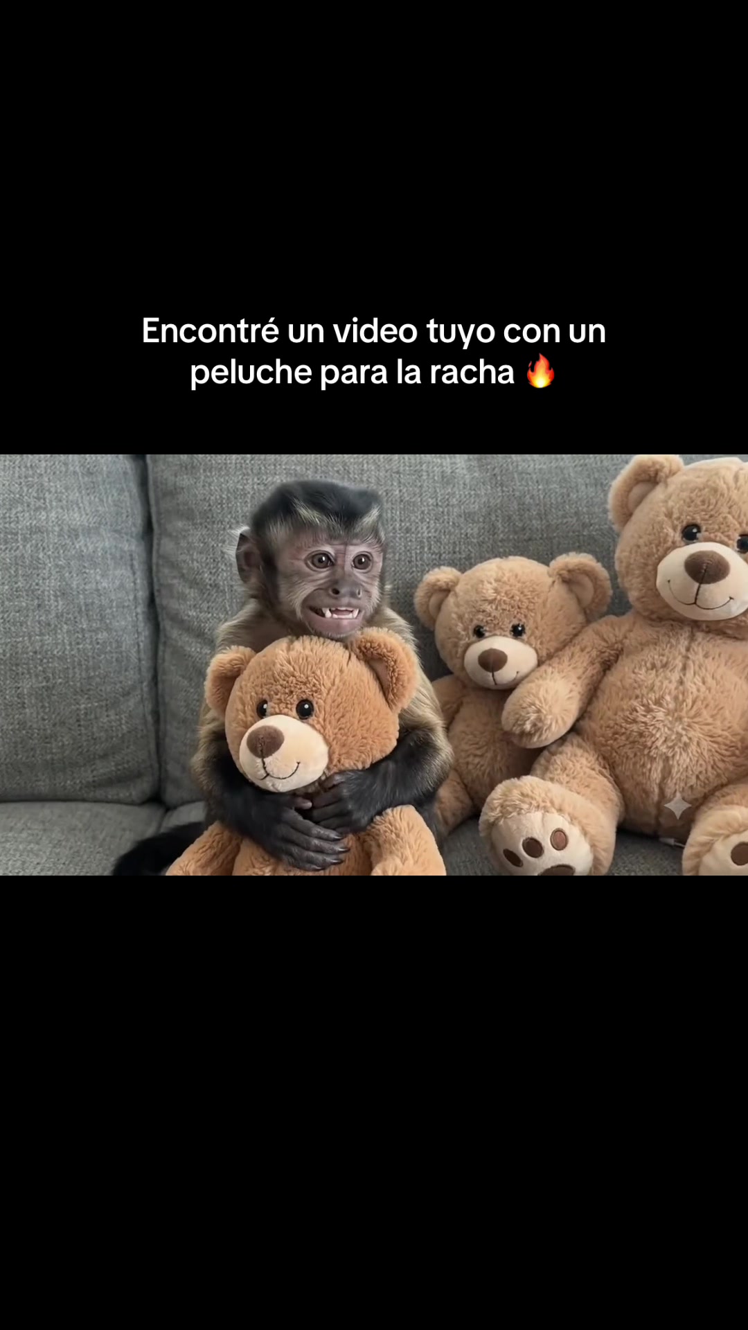 @RabPesito 🔥