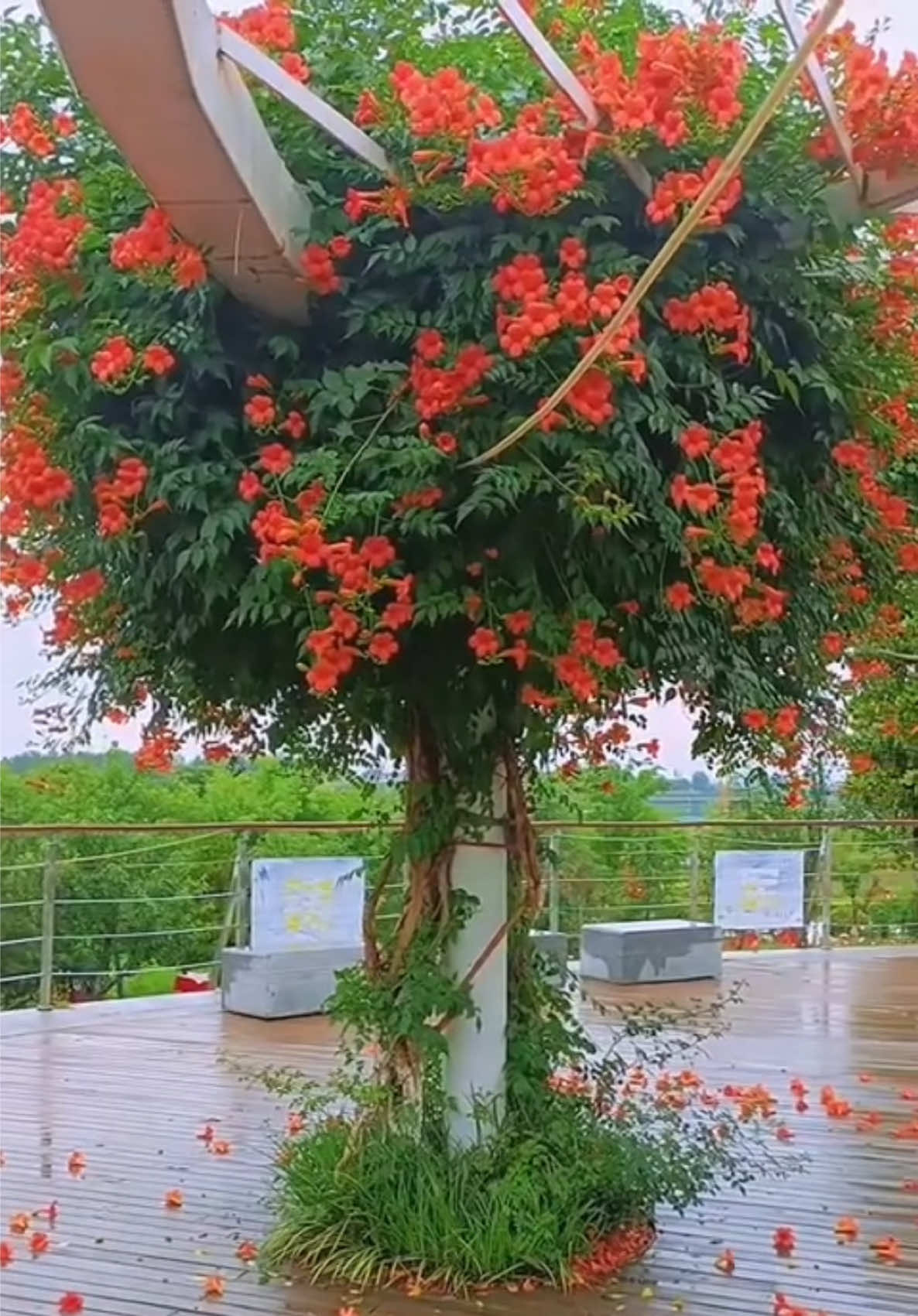 @Tiệm Lá Nhỏ