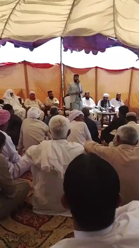 @amanataliali7292