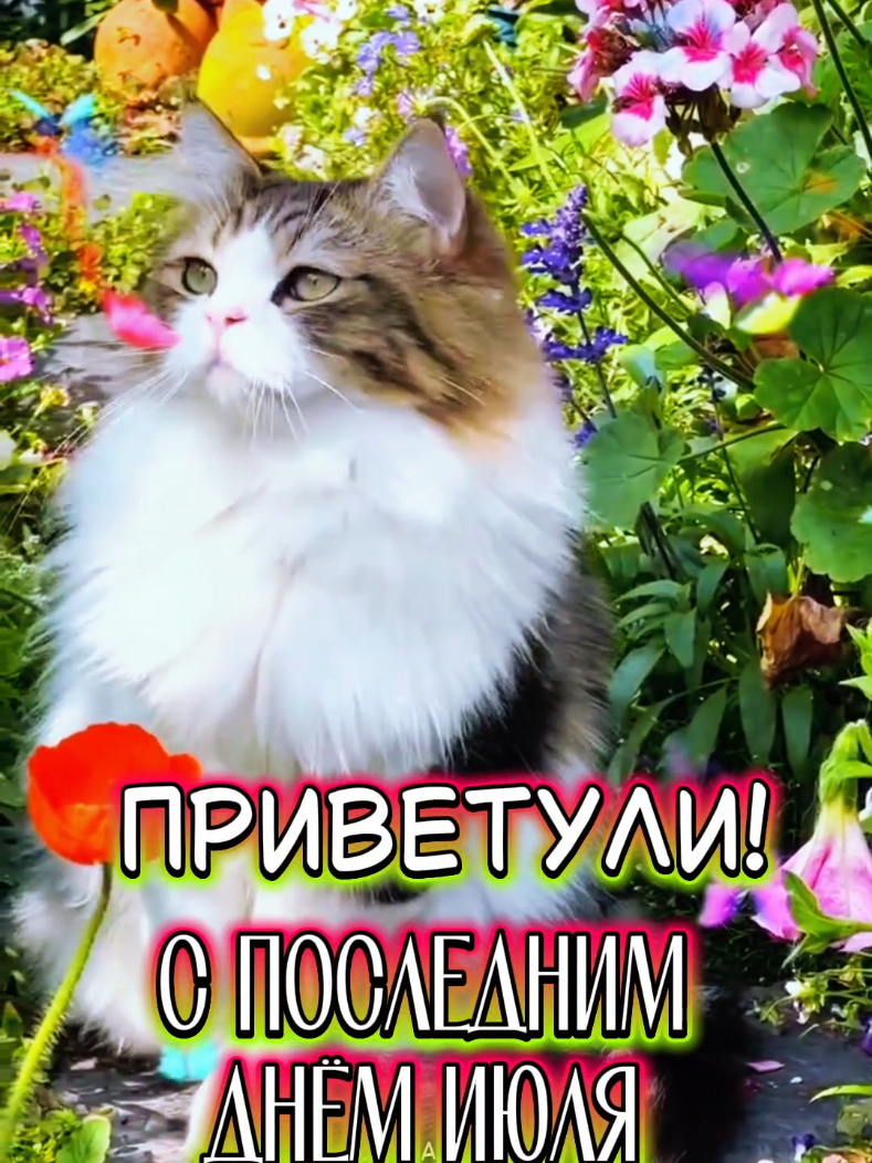 @❀︎ oxana_ok10 ❀︎