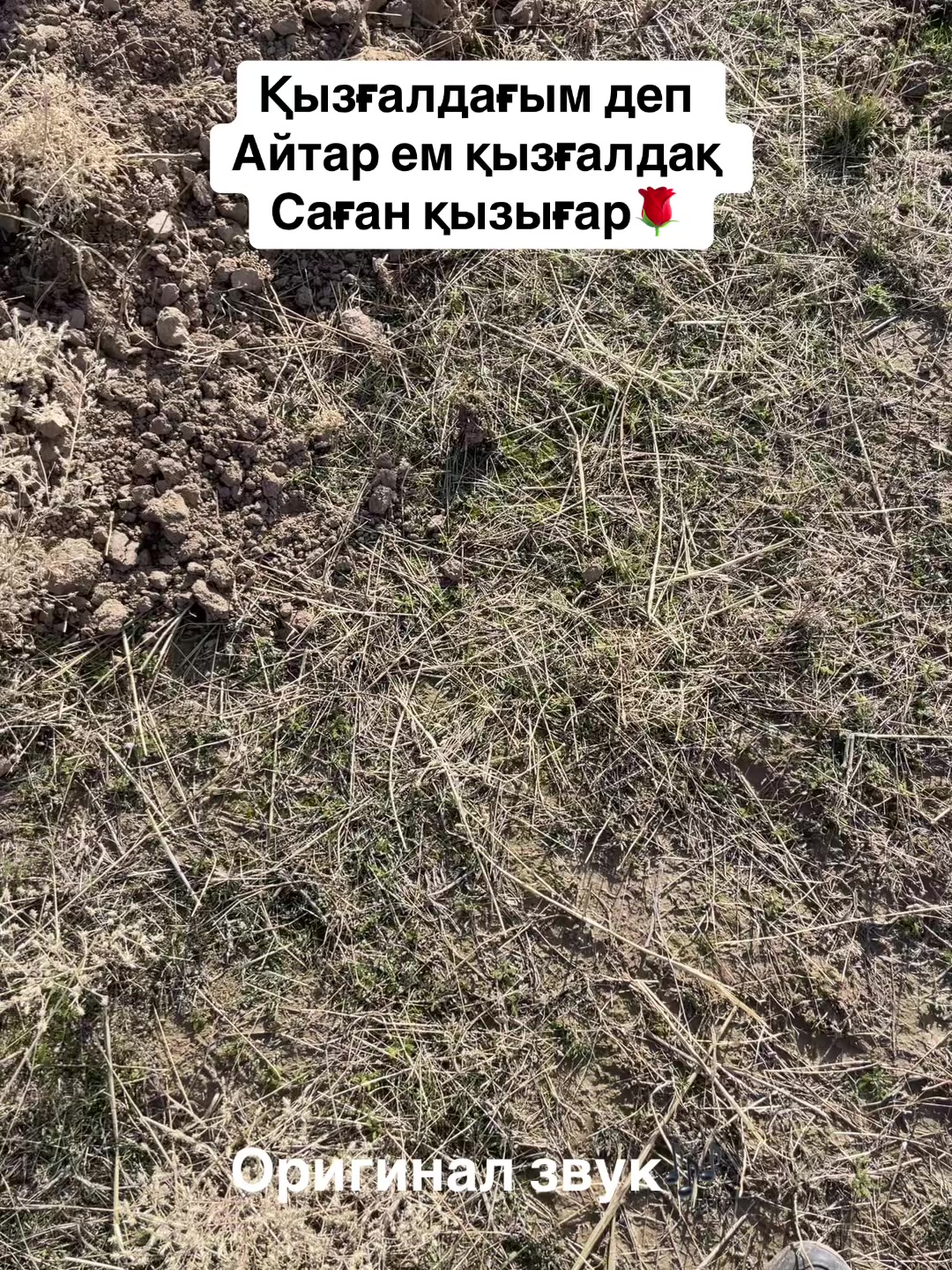 @er__assyl