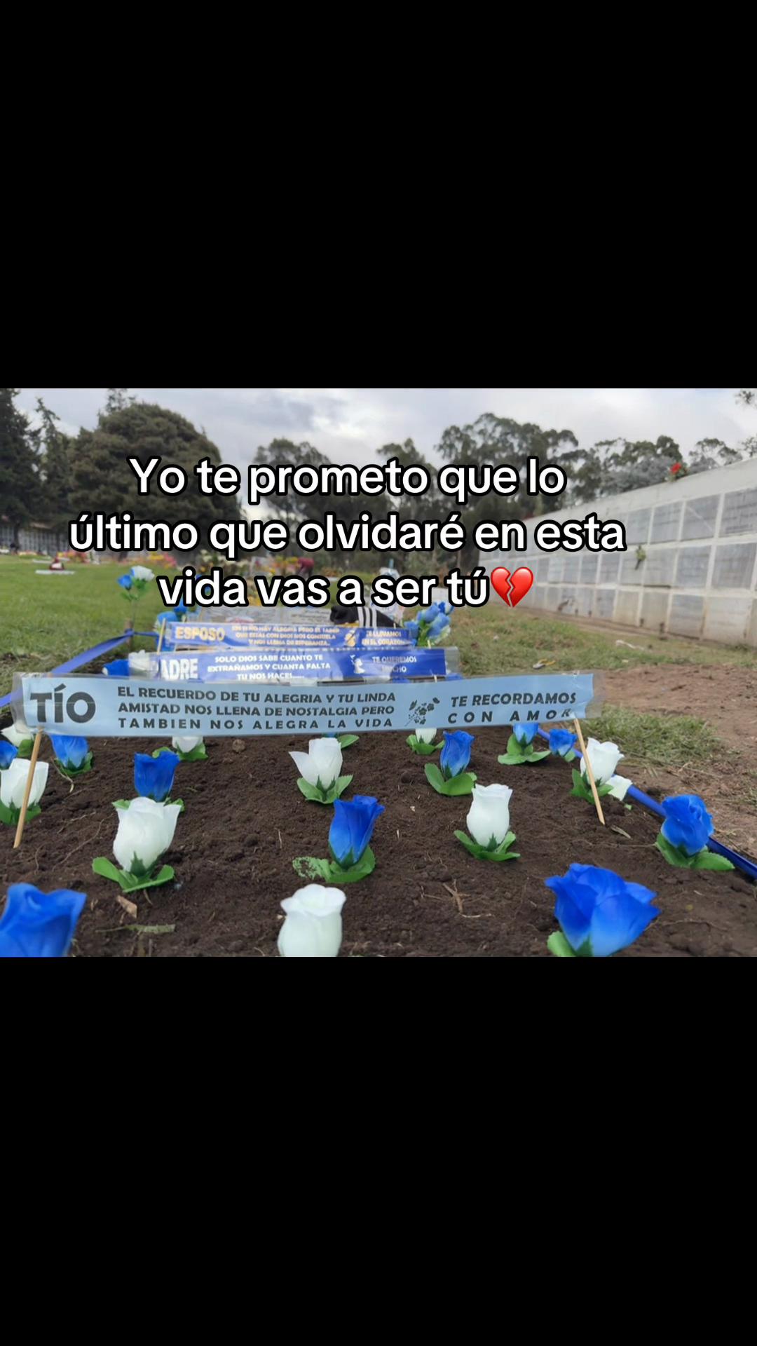 @Luu.