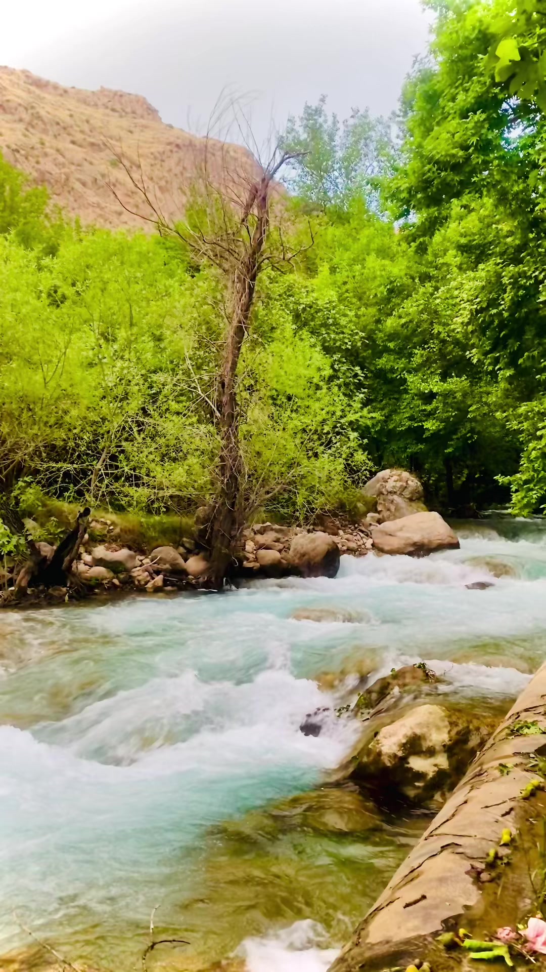 @﮼هەورامی🖤.