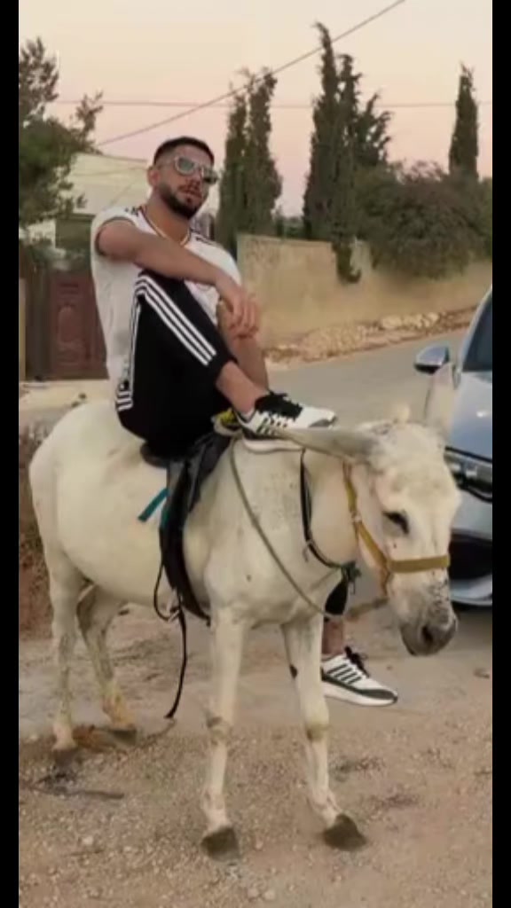 @أبو مًـحًـمٌـدٍ الٱډلـۦۘـبَي🔹