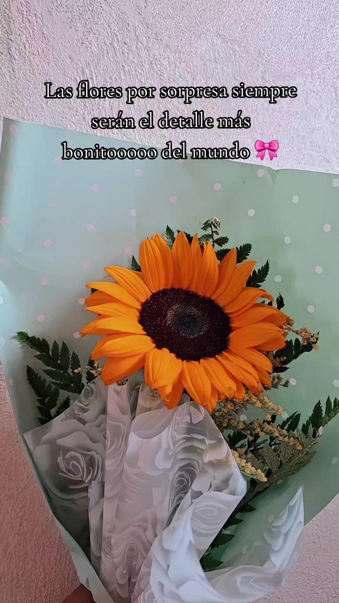 @CR osita