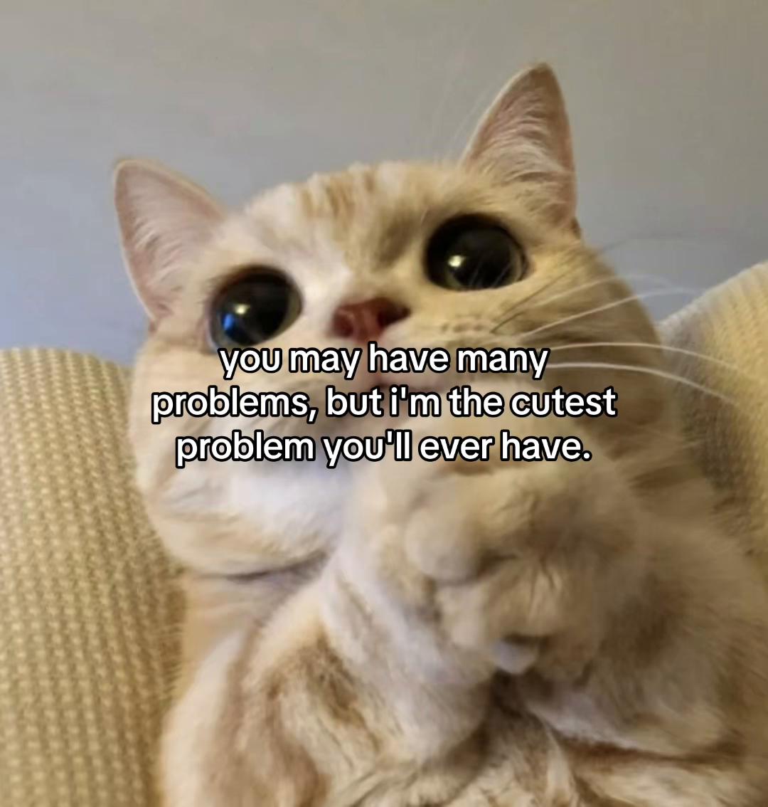 @Alice.cattok