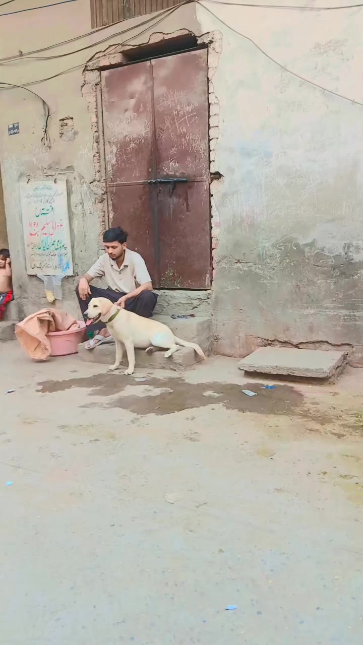@KaKa Gujjar Horse lovers