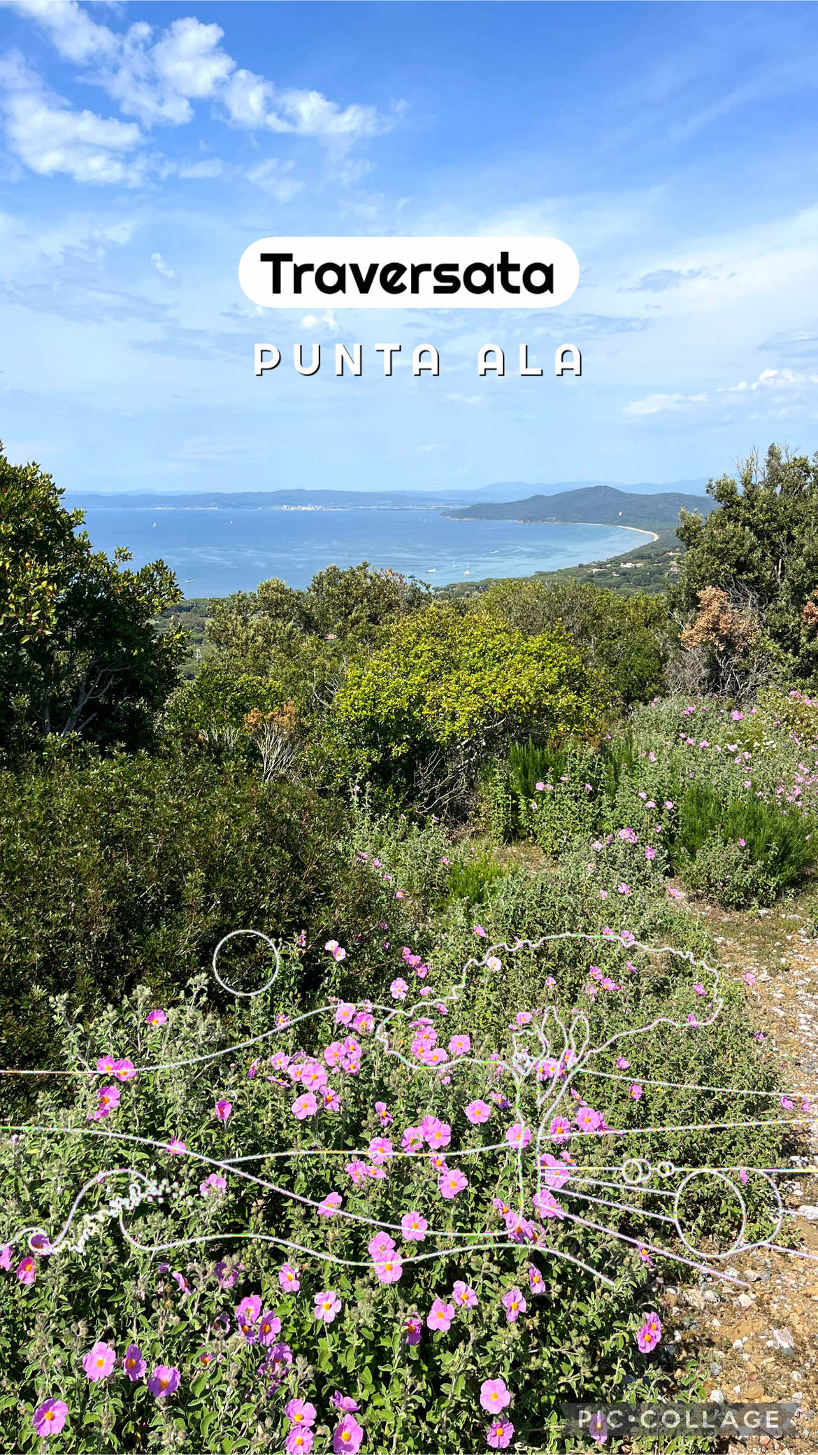 @Maremma Green Passion