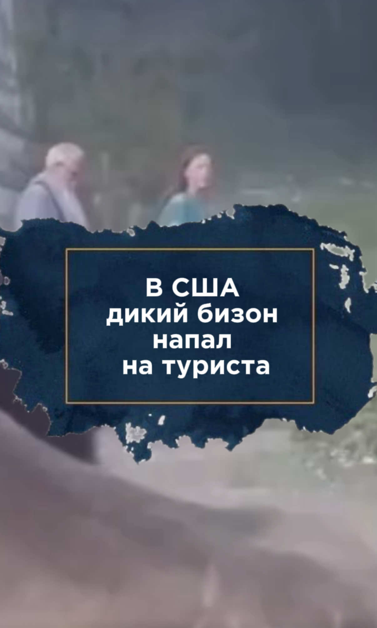 @zakon.kz ➡️ Новости Казахстана
