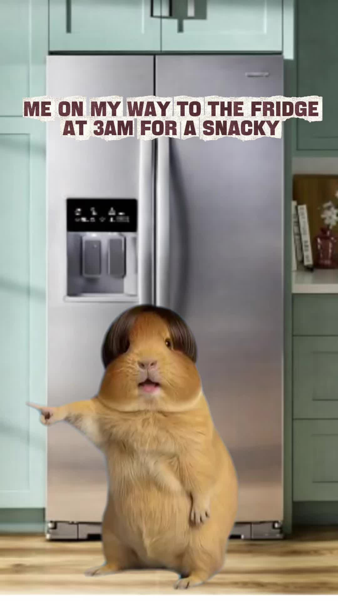 @Bentley and Buster Boo๐พ