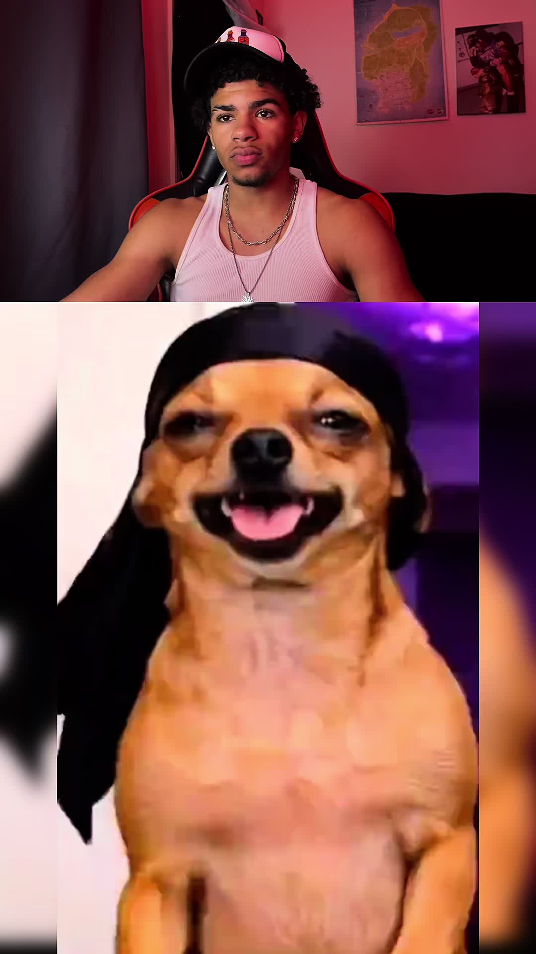@chrisniel