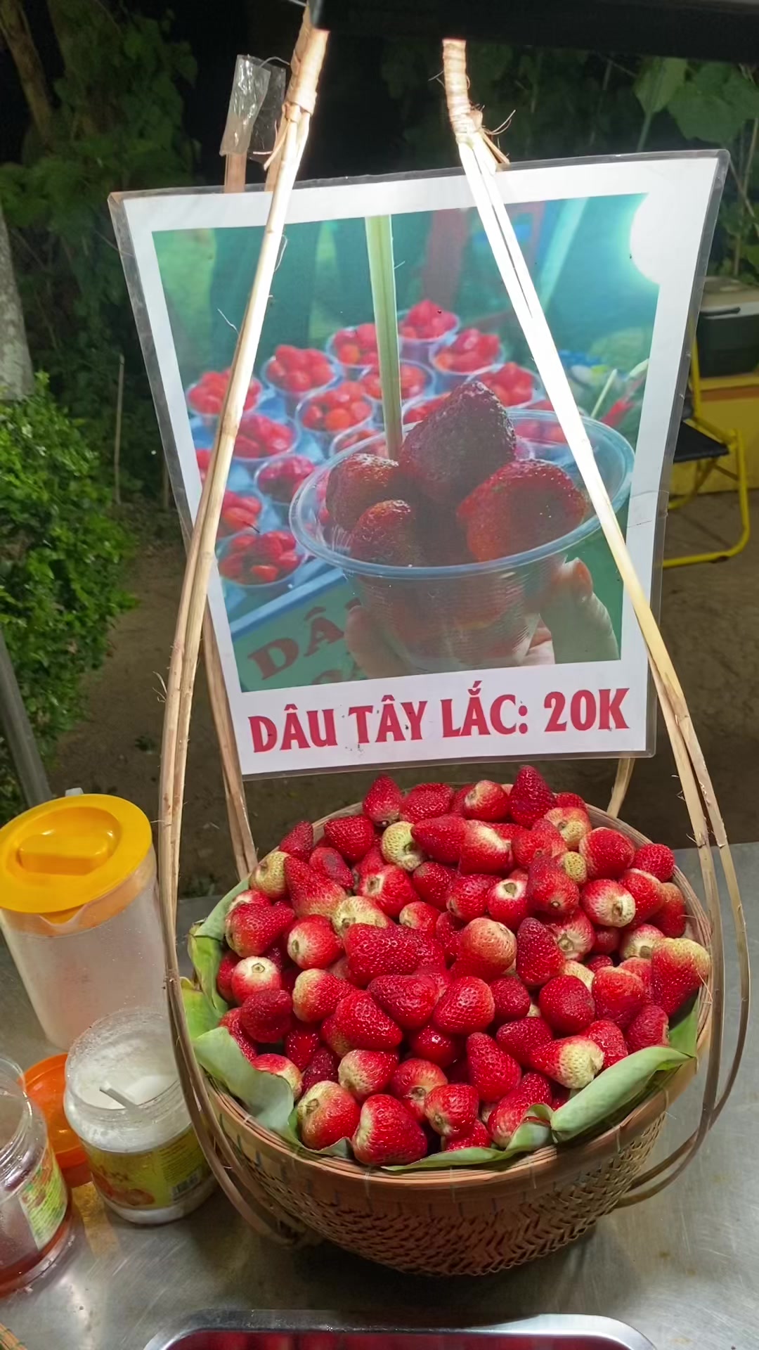 @B&iacute;ch Tr&acirc;m