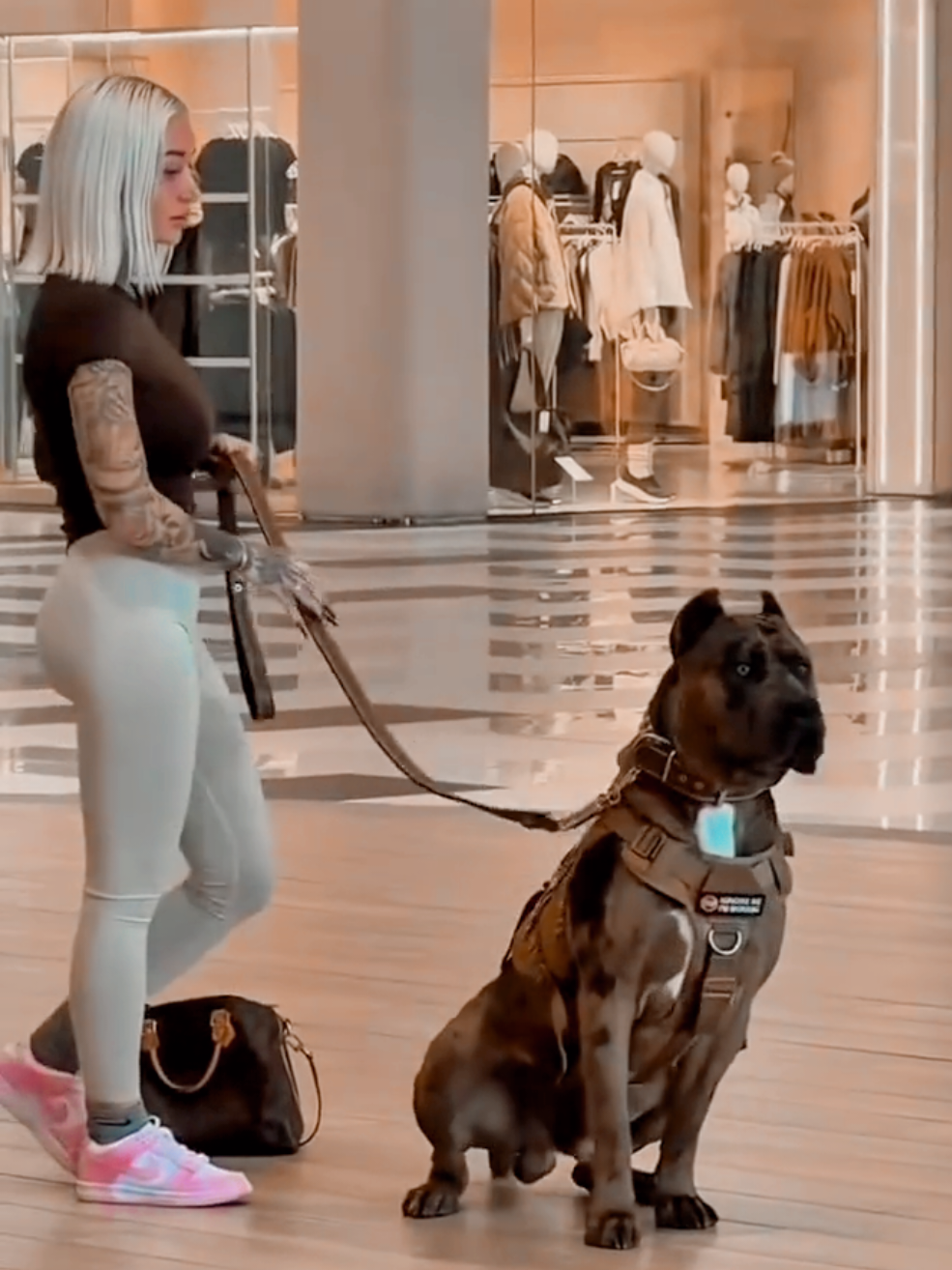 @🥎 דינה מנסור 🦮🐕🐕&zwj;🦺