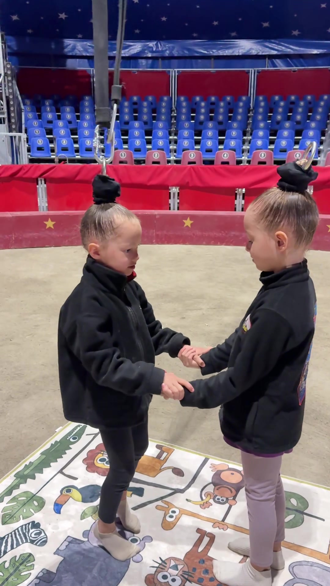 @wow_family_circus