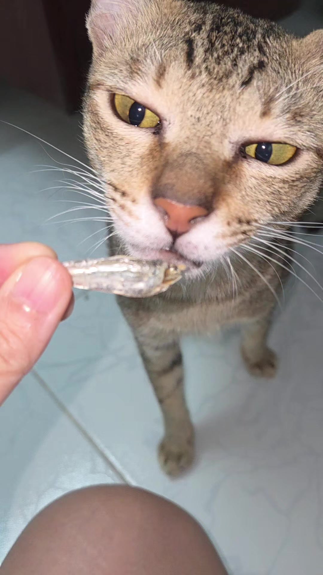 @Khế thúi